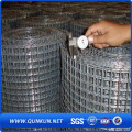 Galvanized Welded Wire Mesh